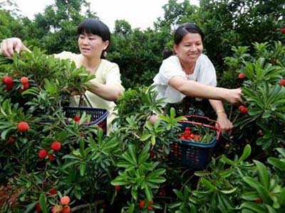 企業(yè)簡介